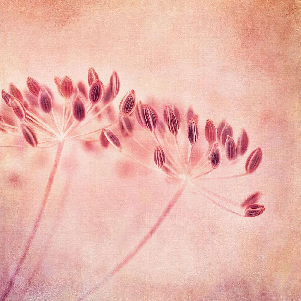 ILl Wait All Winter art print by Priska Wettstein for $57.95 CAD