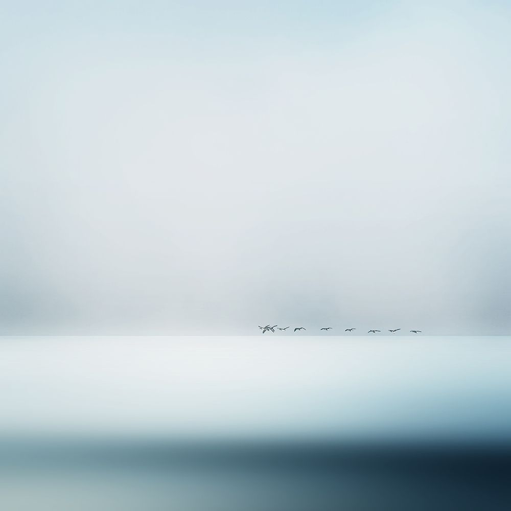 Wild Geese art print by Piet Flour for $57.95 CAD