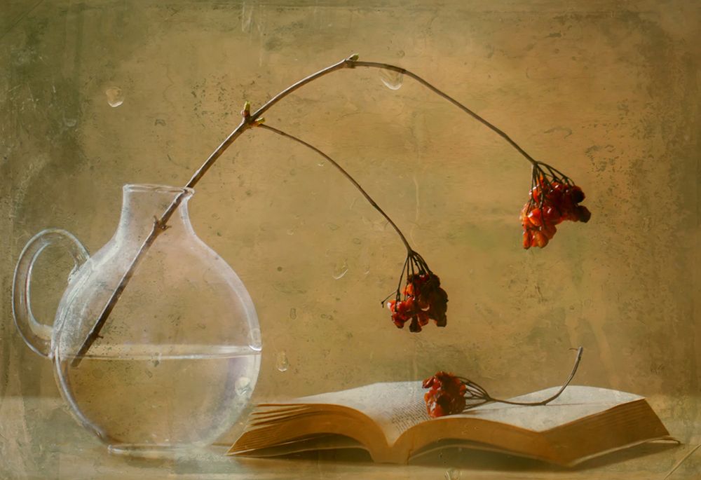 A Book art print by Delphine Devos for $57.95 CAD