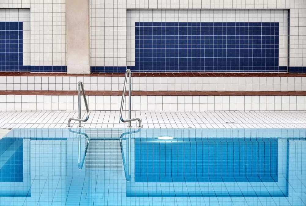 Swimming art print by Renate Reichert for $57.95 CAD