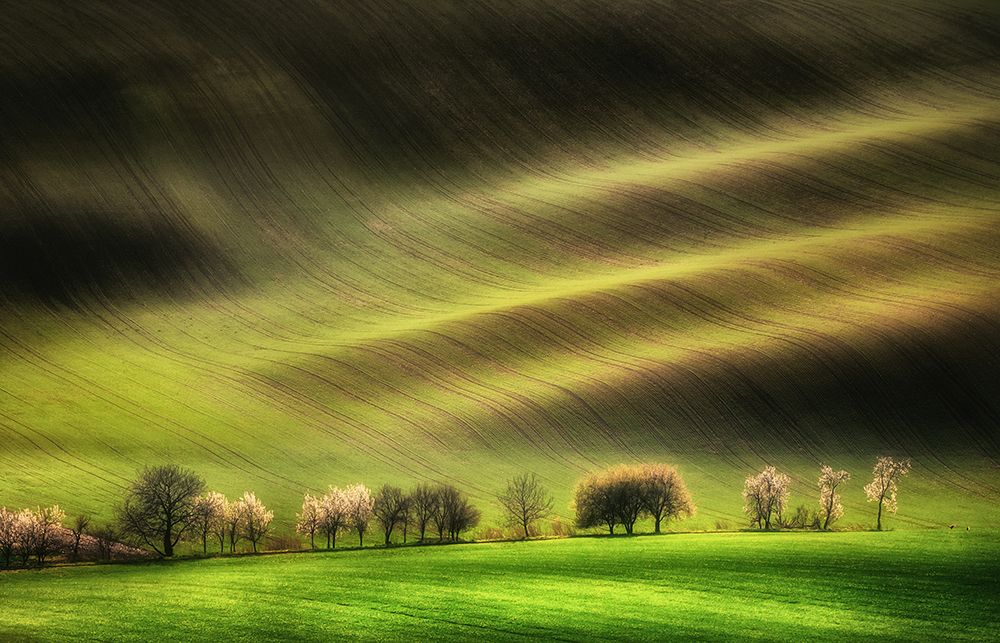 Moravian Fields art print by Piotr Krol (Bax) for $57.95 CAD