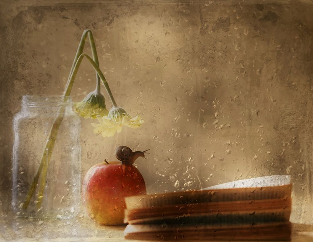Some reading art print by Delphine Devos for $57.95 CAD
