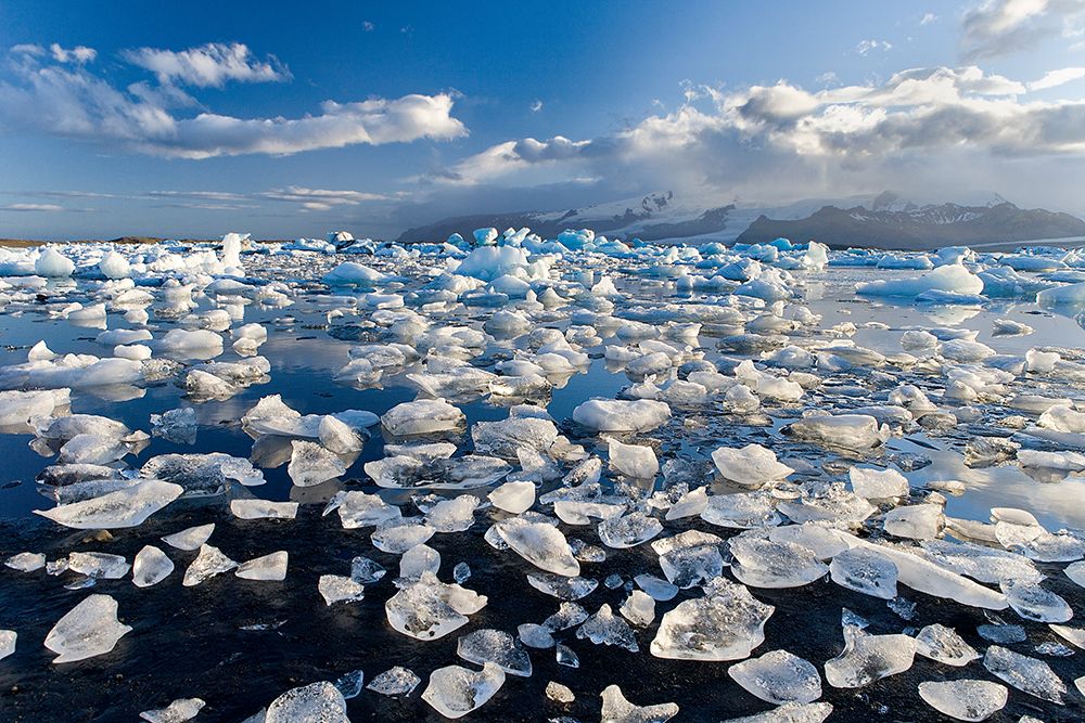 Diamonds Sea art print by Joan Gil Raga for $57.95 CAD