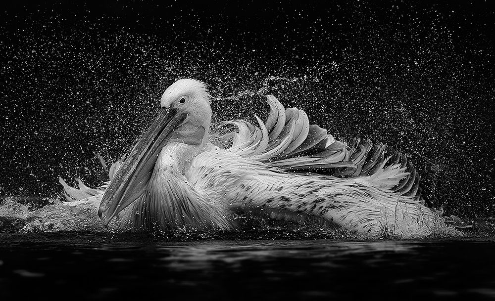 Bath art print by C.S. Tjandra for $57.95 CAD