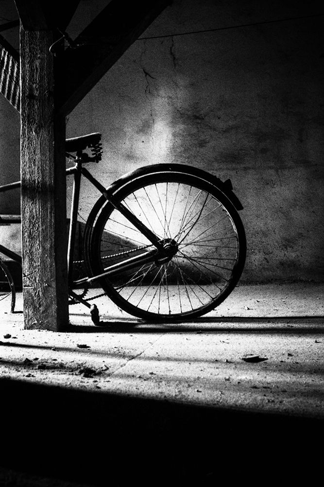 No. 315 art print by Zsolt Halasi for $57.95 CAD