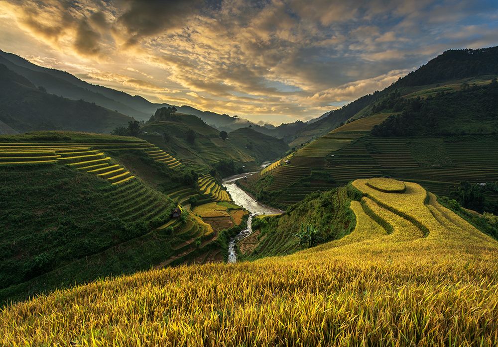 Riceterrace ( Vietnam) art print by Sarawut Intarob for $57.95 CAD