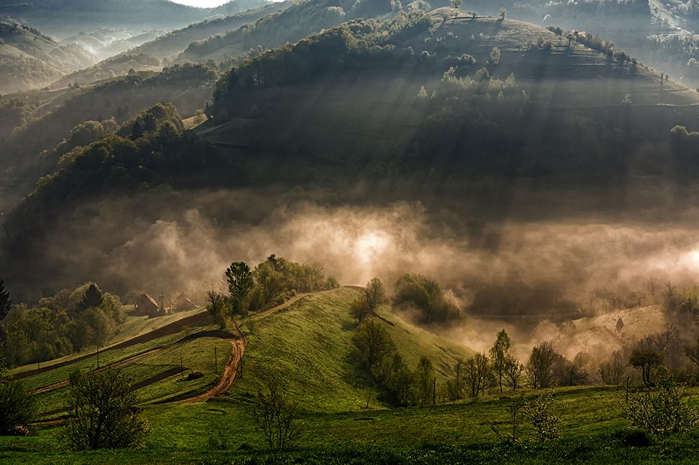 Morning fog art print by Mihail Dulu for $57.95 CAD
