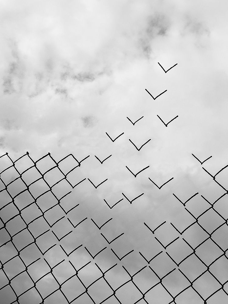 Freedom art print by Daniel Alonso for $57.95 CAD