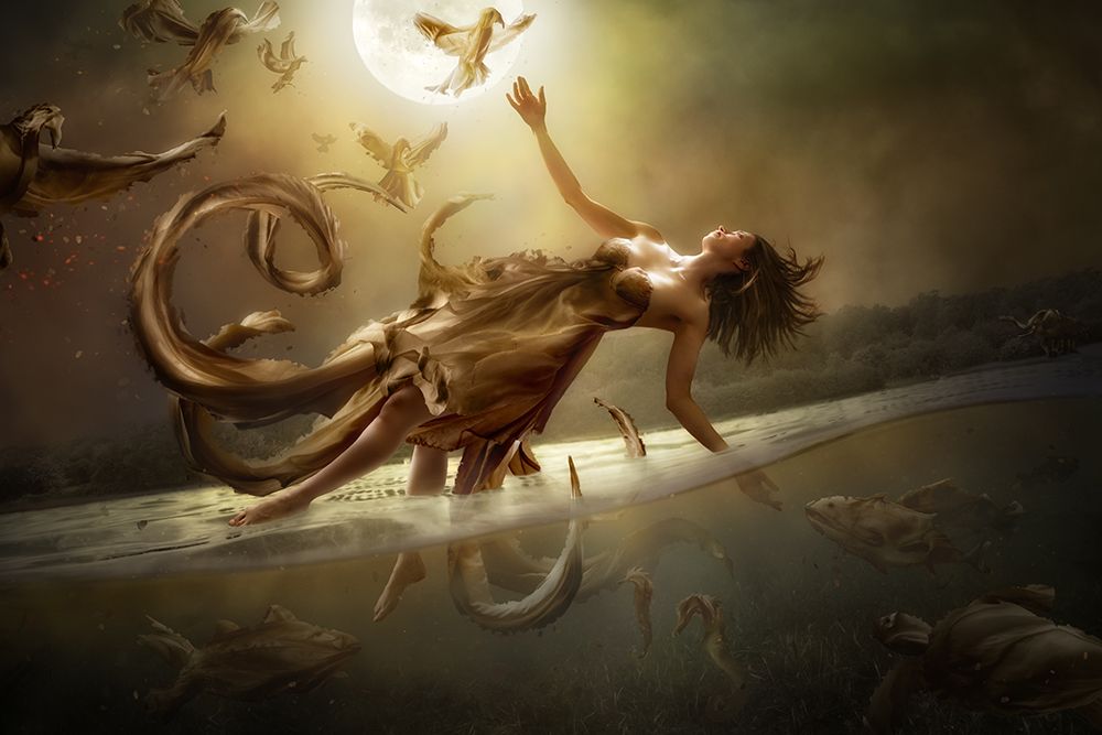 Diversity art print by Christophe Kiciak for $57.95 CAD