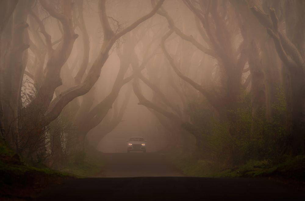 On The Foggy Alley. art print by Piotr Galus for $57.95 CAD