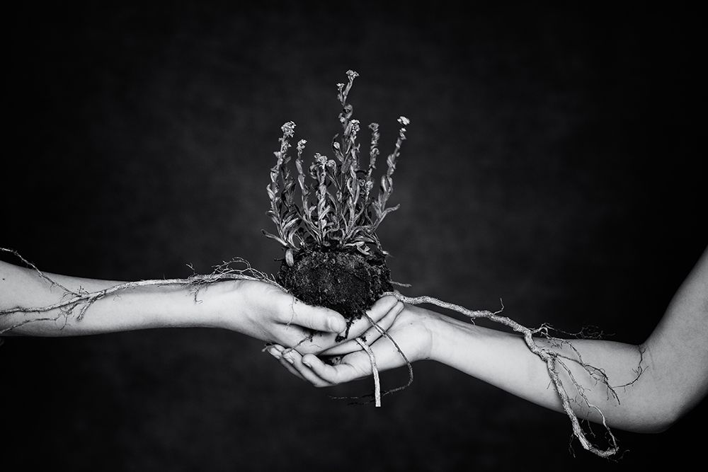 Connected art print by Mirjam Delrue for $57.95 CAD