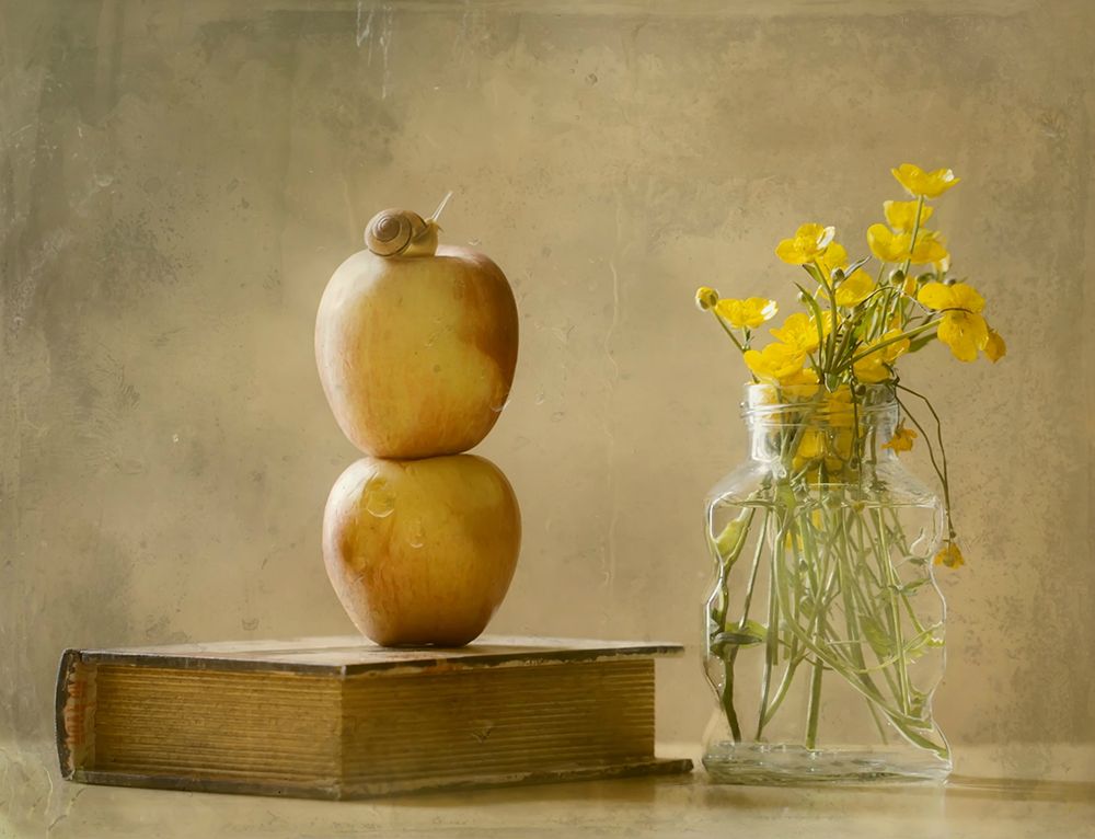 Wild flowers art print by Delphine Devos for $57.95 CAD