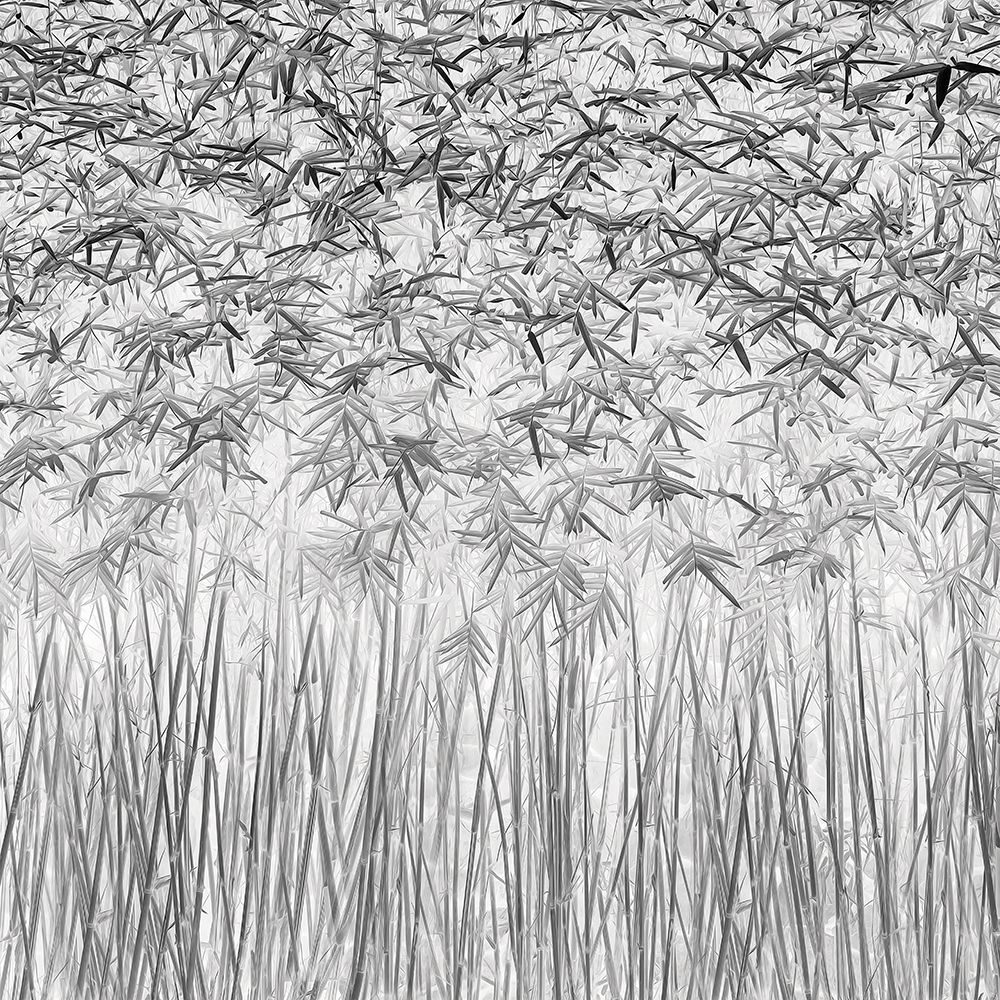 Parallelism art print by Jefflin Ling for $57.95 CAD