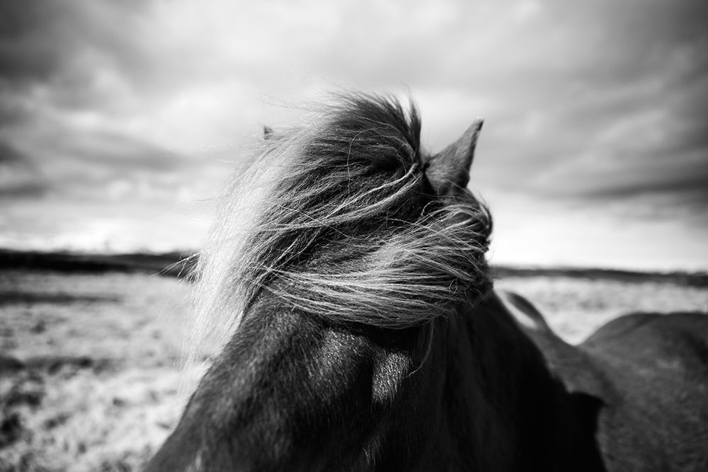 Iceland art print by Liesbeth van der for $57.95 CAD