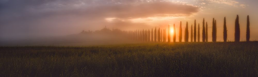 Tuscany Sunrising art print by Javier De La for $57.95 CAD