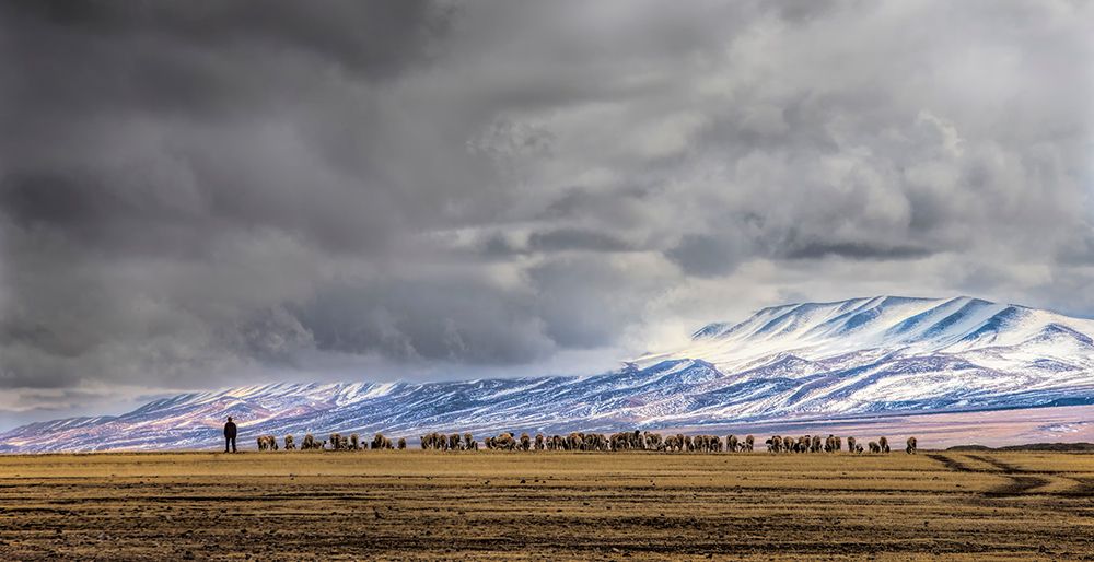 At the foot of the Tianshan Mountains art print by Jun Zuo for $57.95 CAD
