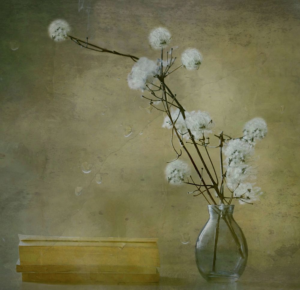 Books art print by Delphine Devos for $57.95 CAD