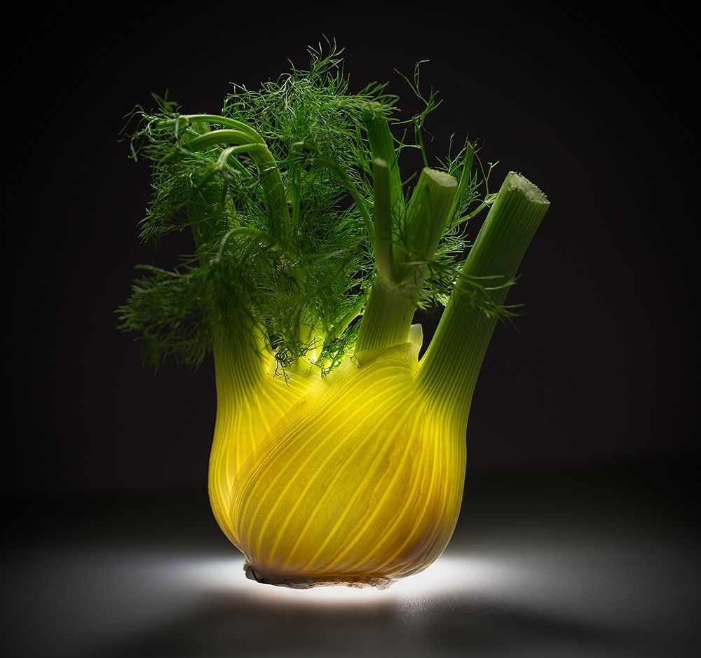 Fennel art print by Wieteke De Kogel for $57.95 CAD