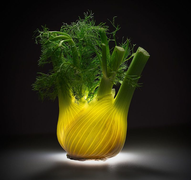 Fennel art print by Wieteke De Kogel for $57.95 CAD