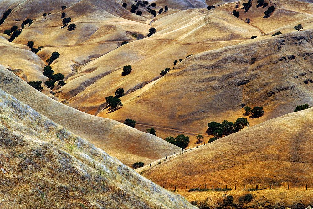 Golden Hills art print by Jure Kravanja for $57.95 CAD