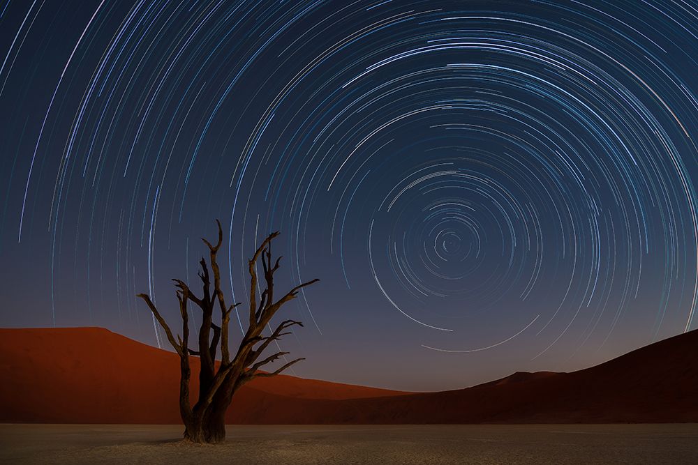 Star Trails Of Namibia art print by Karen Deakin for $57.95 CAD