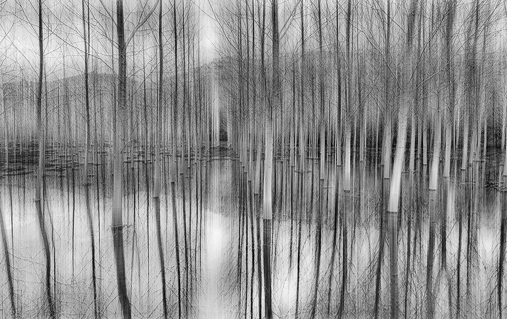 Reflections art print by Fran Osuna for $57.95 CAD