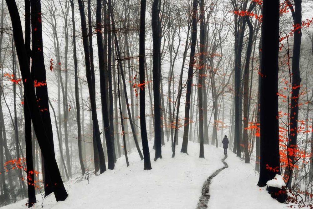 Through Autumn And Winter art print by Samanta for $57.95 CAD