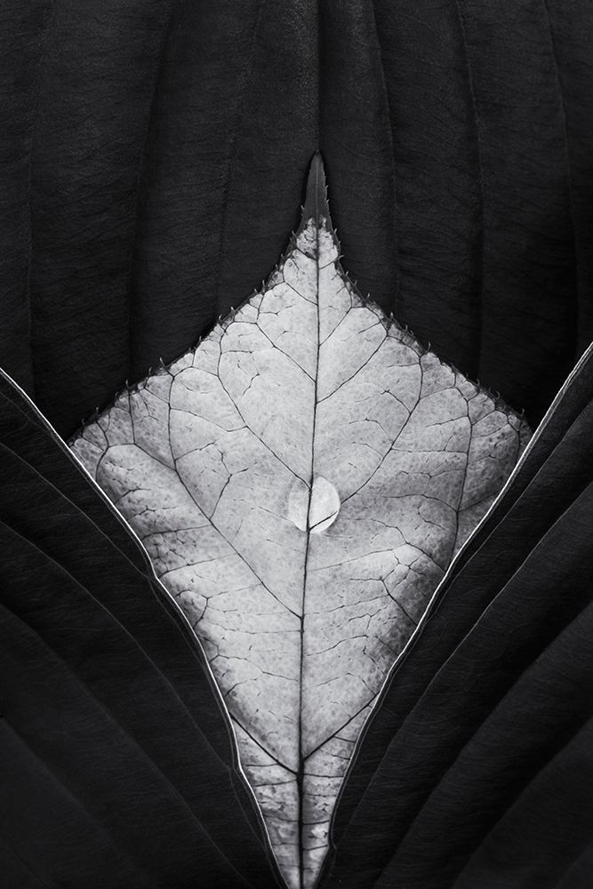 Untitled art print by Stephen Clough for $57.95 CAD