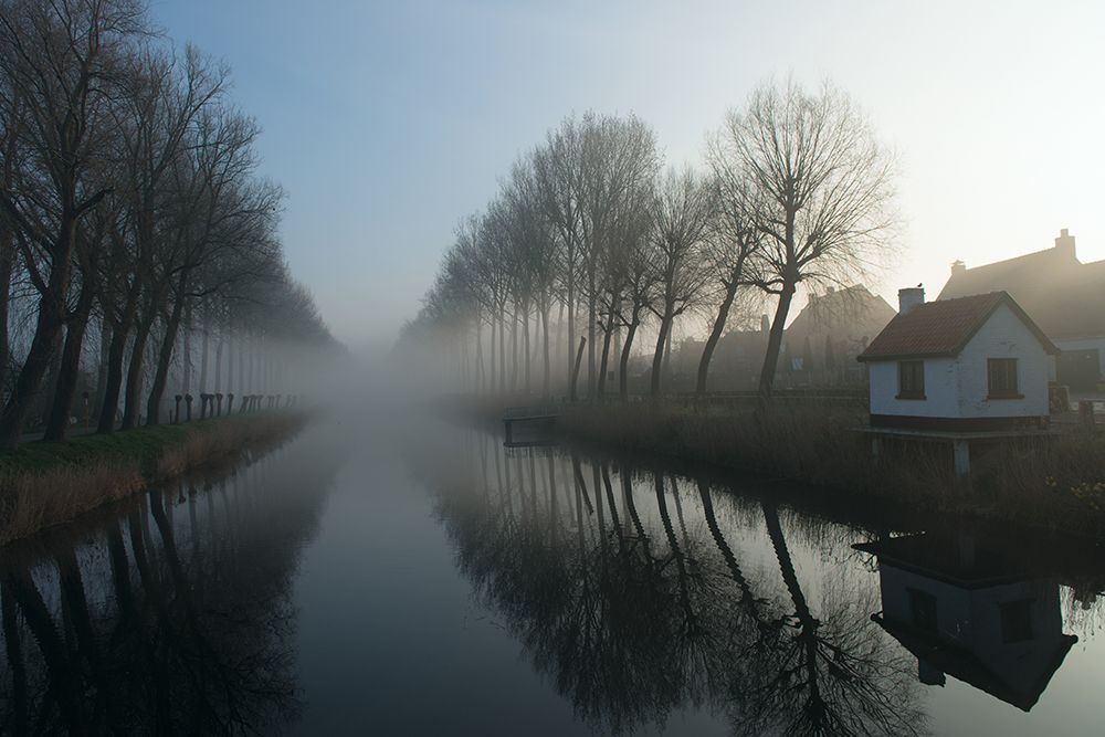 Mist Across The Canal art print by Elisabeth Wehrmann for $57.95 CAD