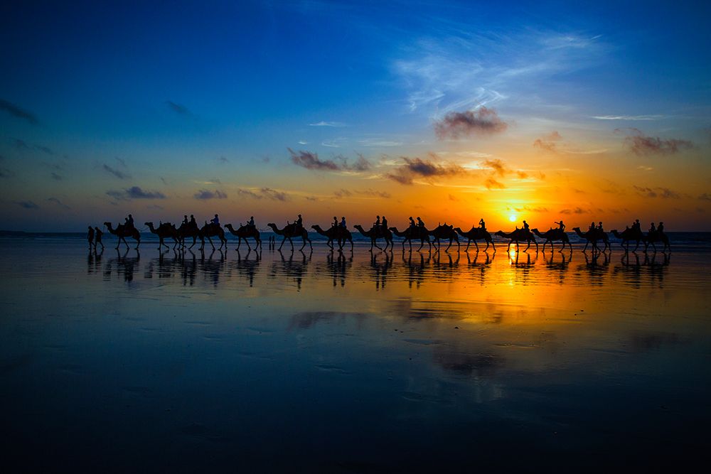 Sunset Camel Ride art print by Louise Wolbers for $57.95 CAD