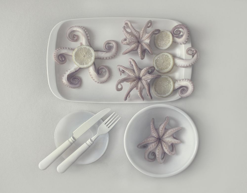 D?Ctopus...2 art print by Dimitar Lazarov for $57.95 CAD