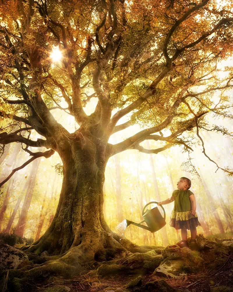 Growing Up Is Made Of Small Things art print by Christophe Kiciak for $57.95 CAD