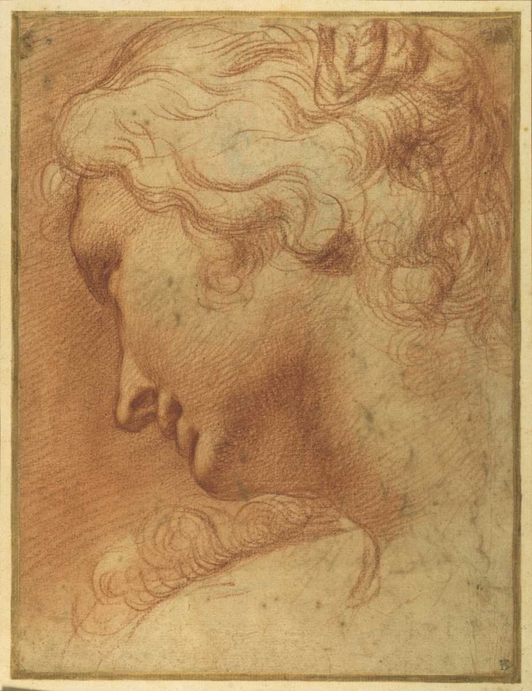 The Head of a Young Woman art print by Agostino Caracci for $57.95 CAD