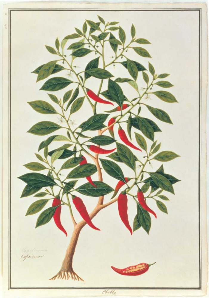 Chile art print by Anonymous for $57.95 CAD