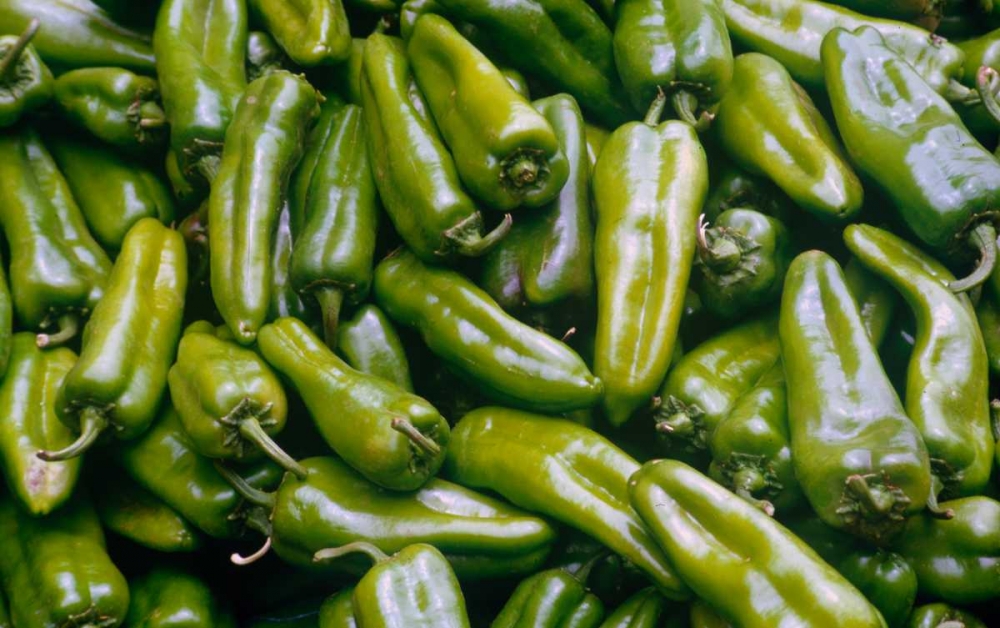 Green Chiles art print by Cyril Blue for $57.95 CAD