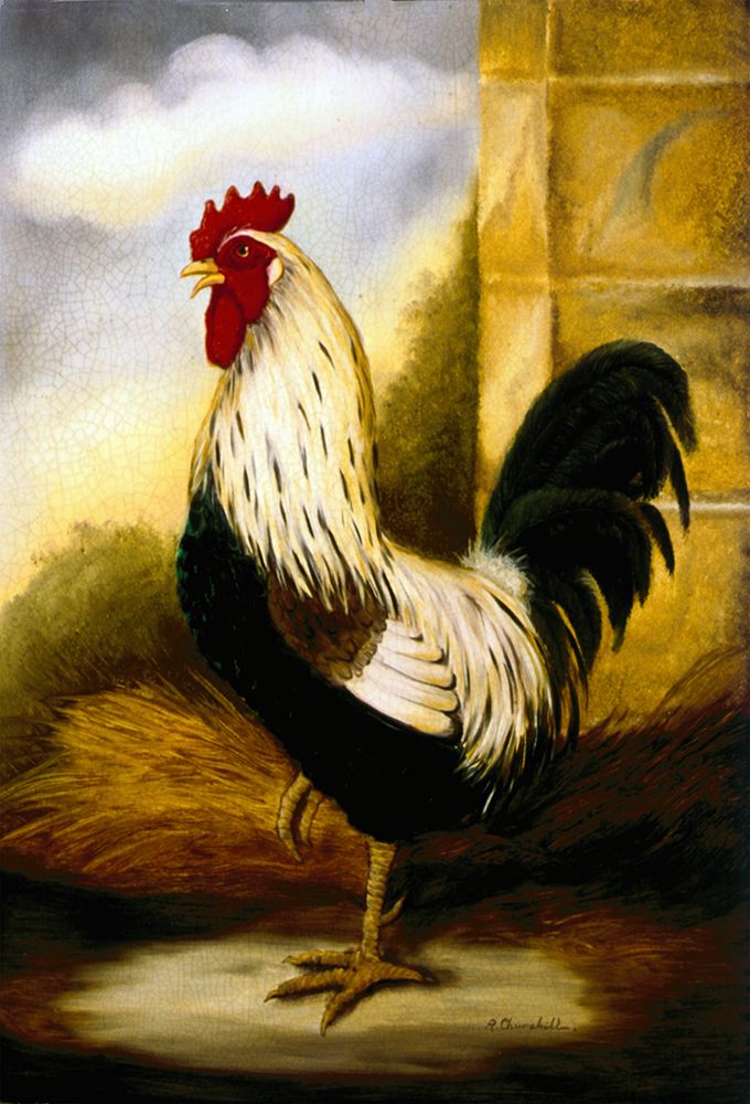 Dorking Crowing Cock art print by Alexandra Churchill for $57.95 CAD