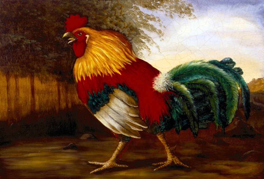 Frizzle and Chick art print by Alexandra Churchill for $57.95 CAD