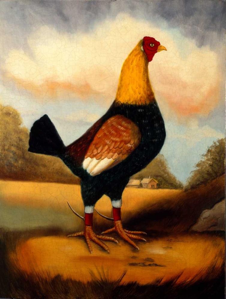 Second Fighting Cock art print by Alexandra Churchill for $57.95 CAD