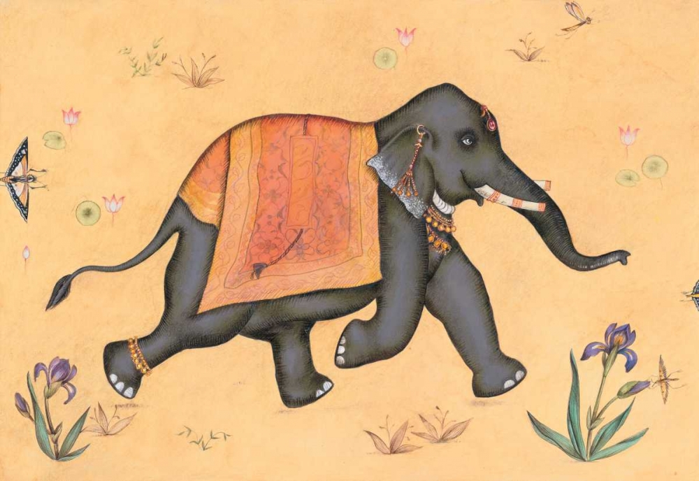 Elephant-Indian Animals art print by Fran Gynn for $57.95 CAD
