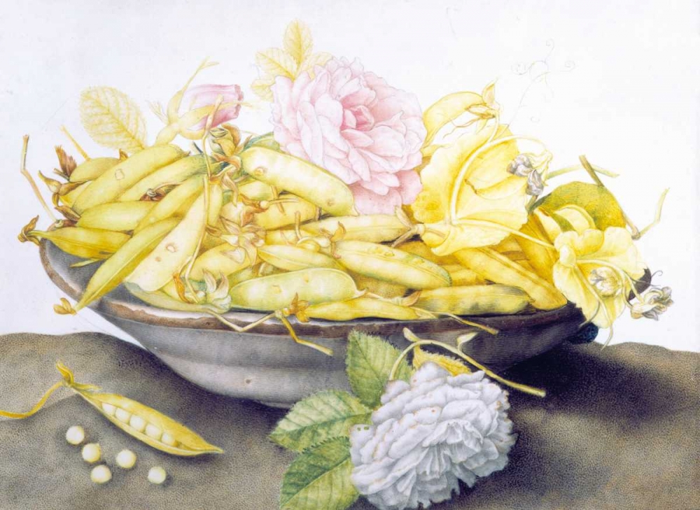 Bowl with Peas art print by Giovanna Garzoni for $57.95 CAD