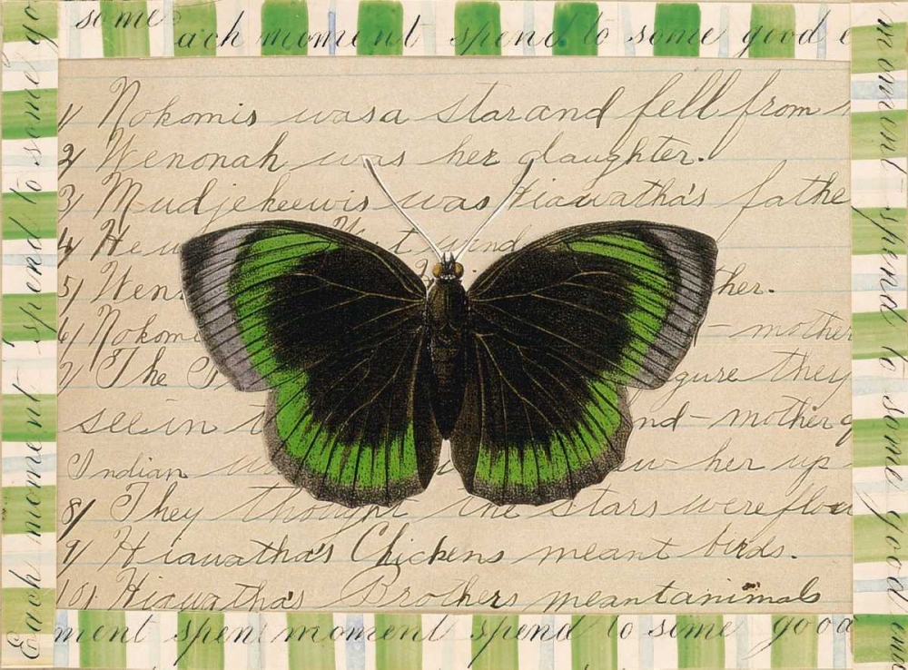 Butterfly Collage, Hiawatha art print by William Gould-Porter for $57.95 CAD