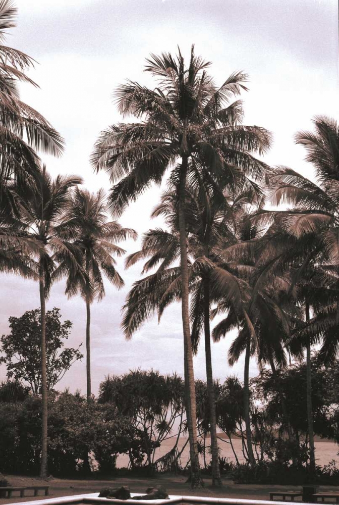 Coconut Grove, Candidasa art print by Cyril Blue for $57.95 CAD