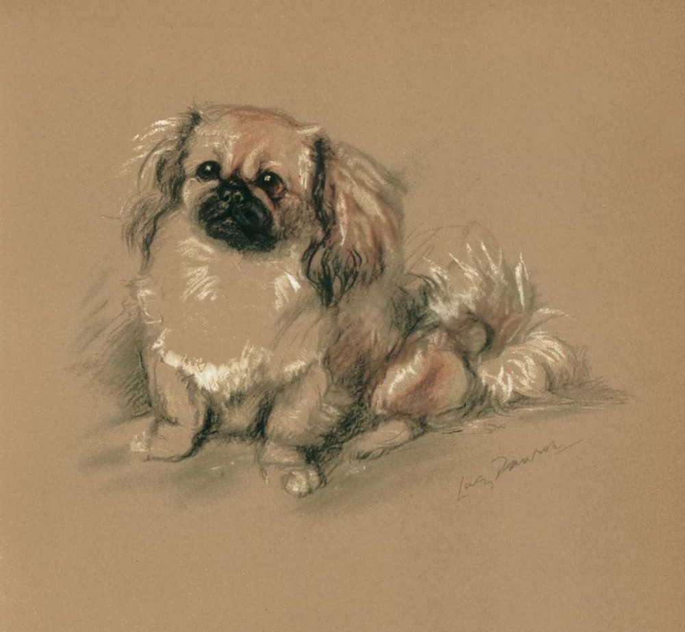 Pekinese, Koko art print by Lucy Dawson for $57.95 CAD