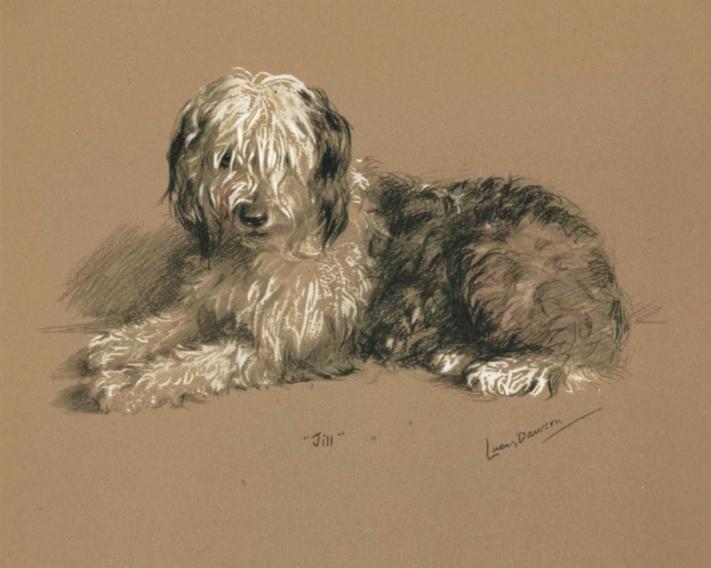 Sheepdog, Jill art print by Lucy Dawson for $57.95 CAD