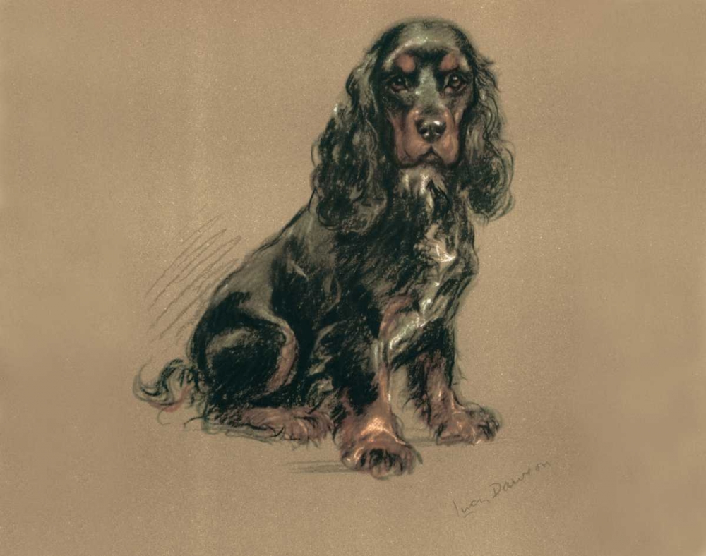 Spaniel art print by Lucy Dawson for $57.95 CAD
