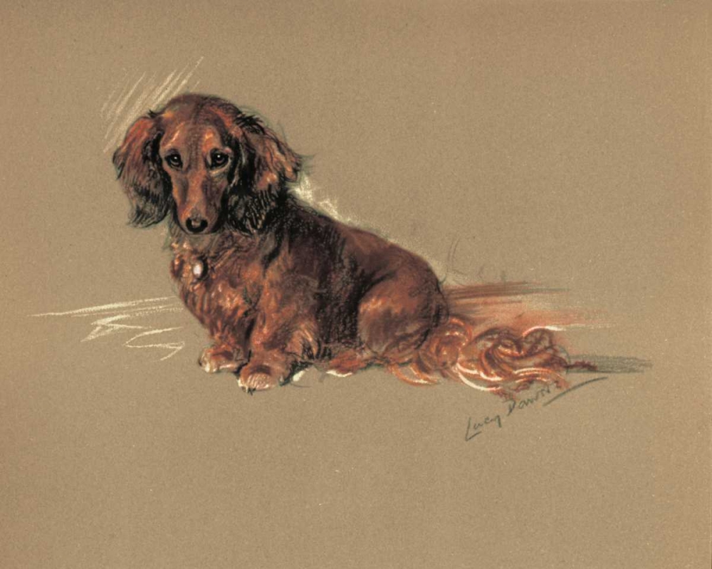 Daschund, Robin art print by Lucy Dawson for $57.95 CAD