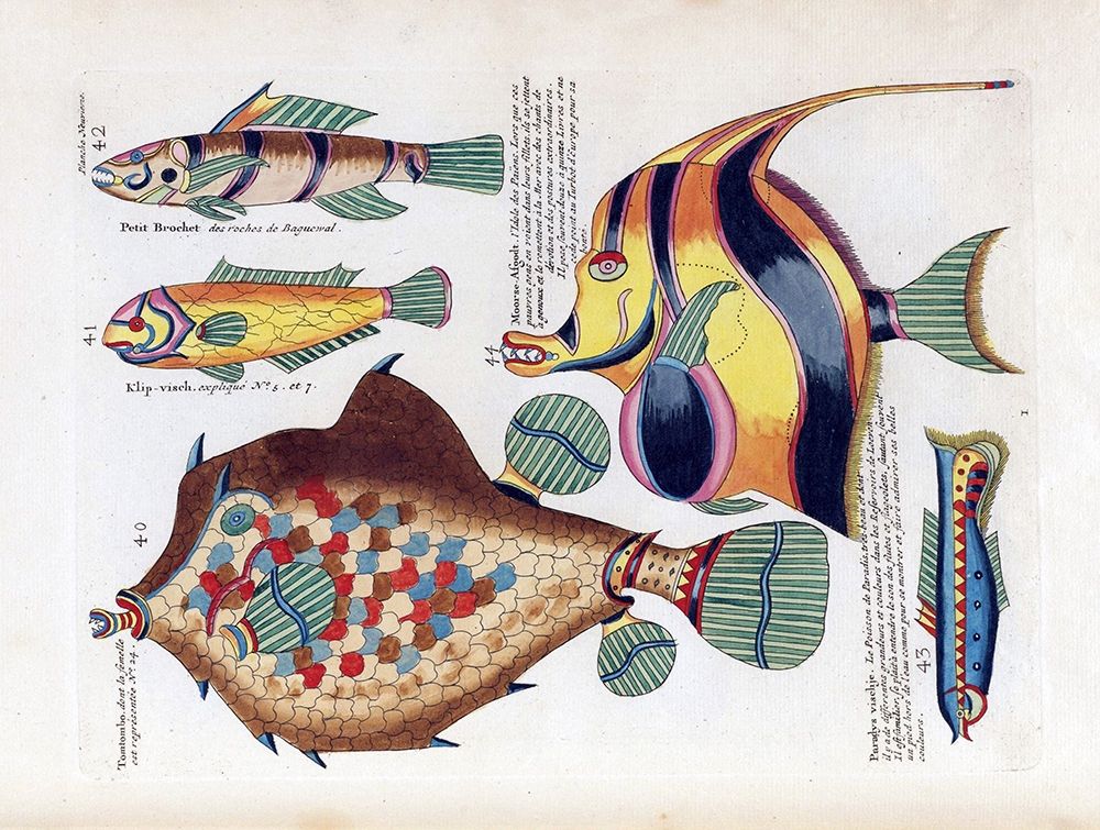 Tompombo art print by Louis Renard for $57.95 CAD