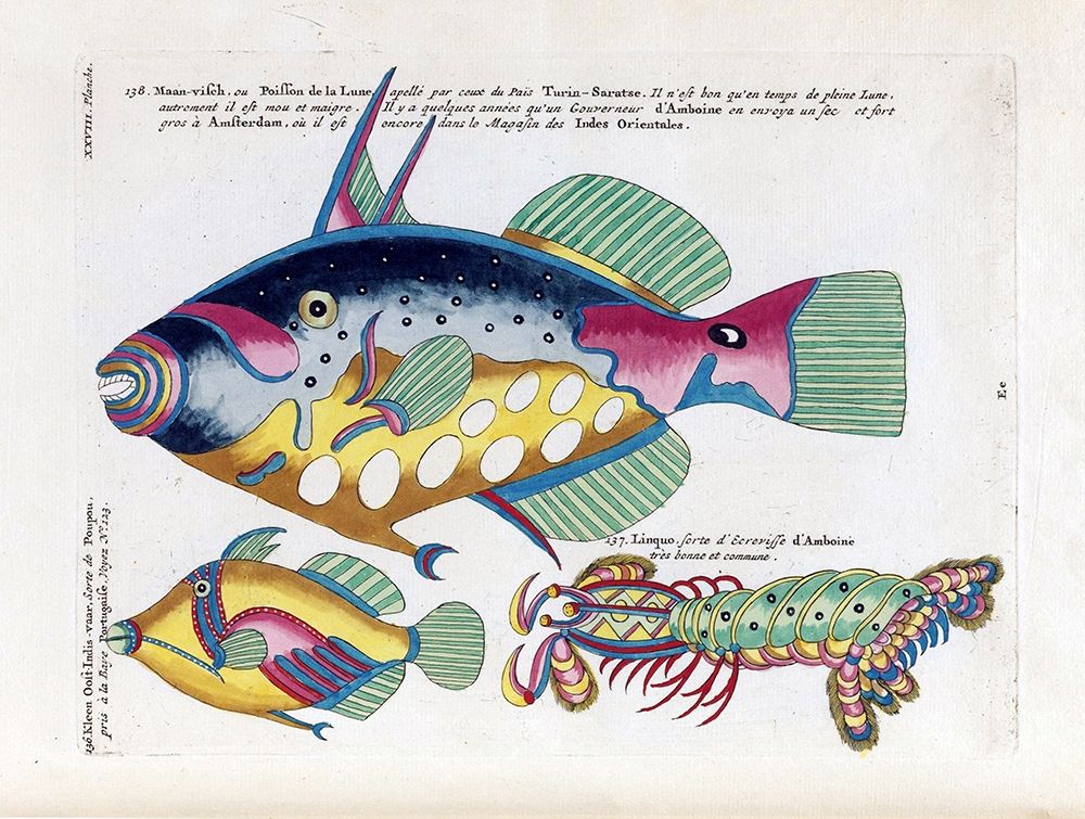 Poisson de la Lune art print by Louis Renard for $57.95 CAD