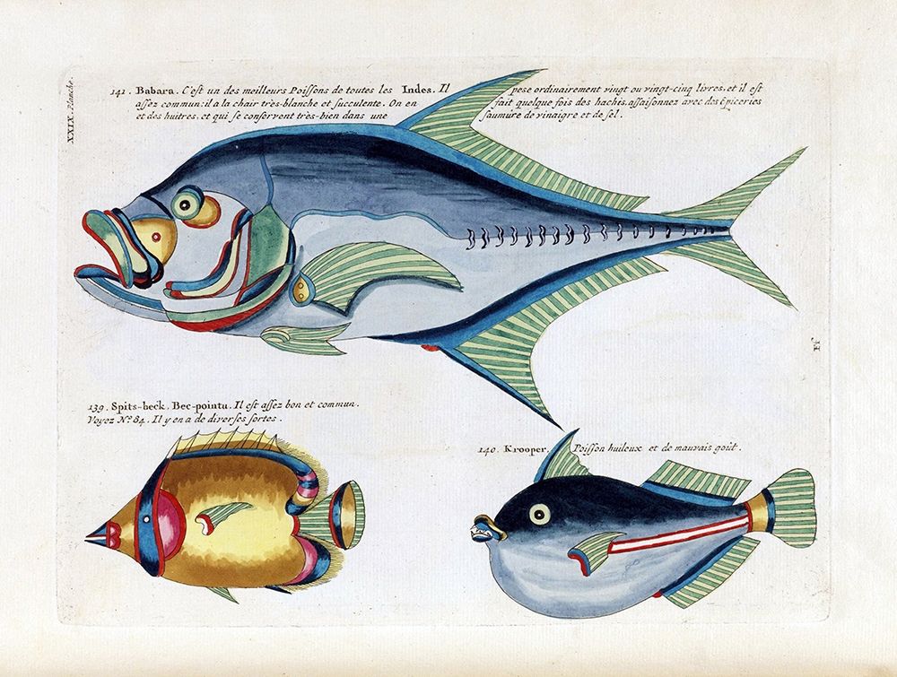 Babara art print by Louis Renard for $57.95 CAD