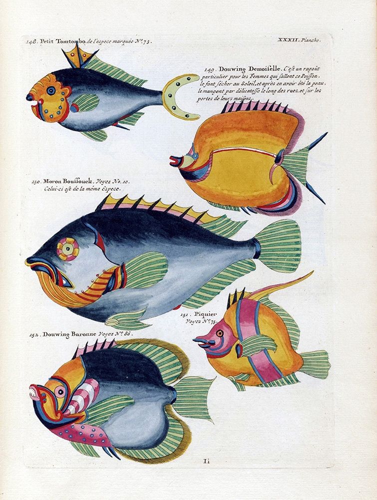 Petit Tompombo art print by Louis Renard for $57.95 CAD